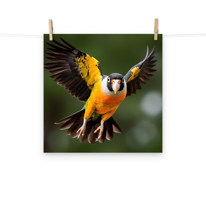Caique Photo paper poster - PosterfyAI.com