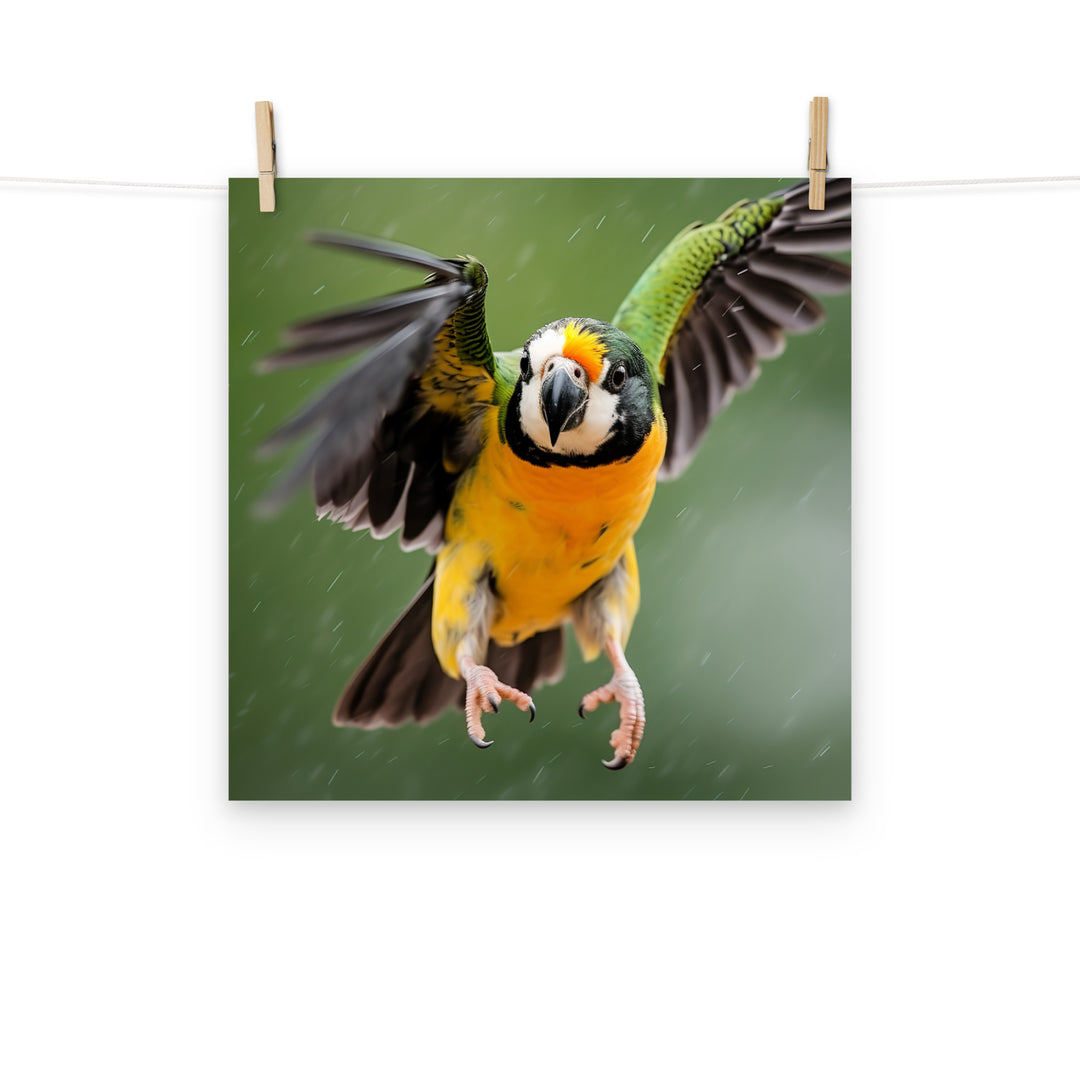 Caique Photo paper poster - PosterfyAI.com