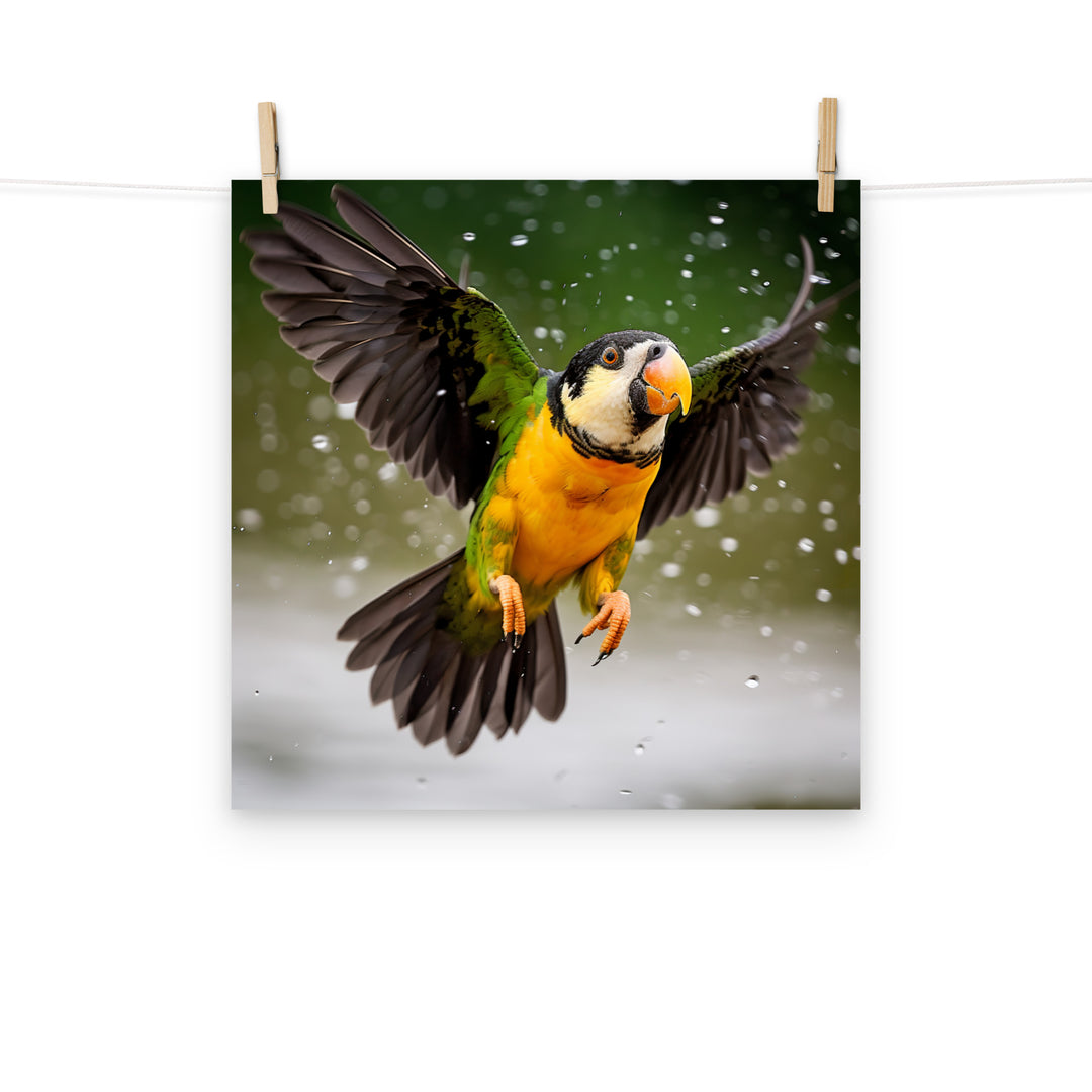 Caique Photo paper poster - PosterfyAI.com