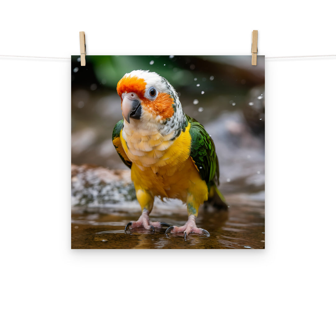 Caique Photo paper poster - PosterfyAI.com