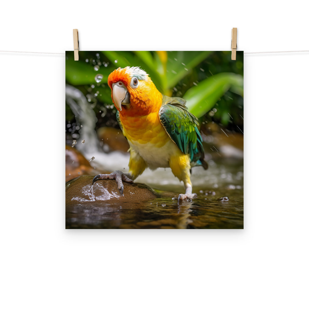 Caique Photo paper poster - PosterfyAI.com