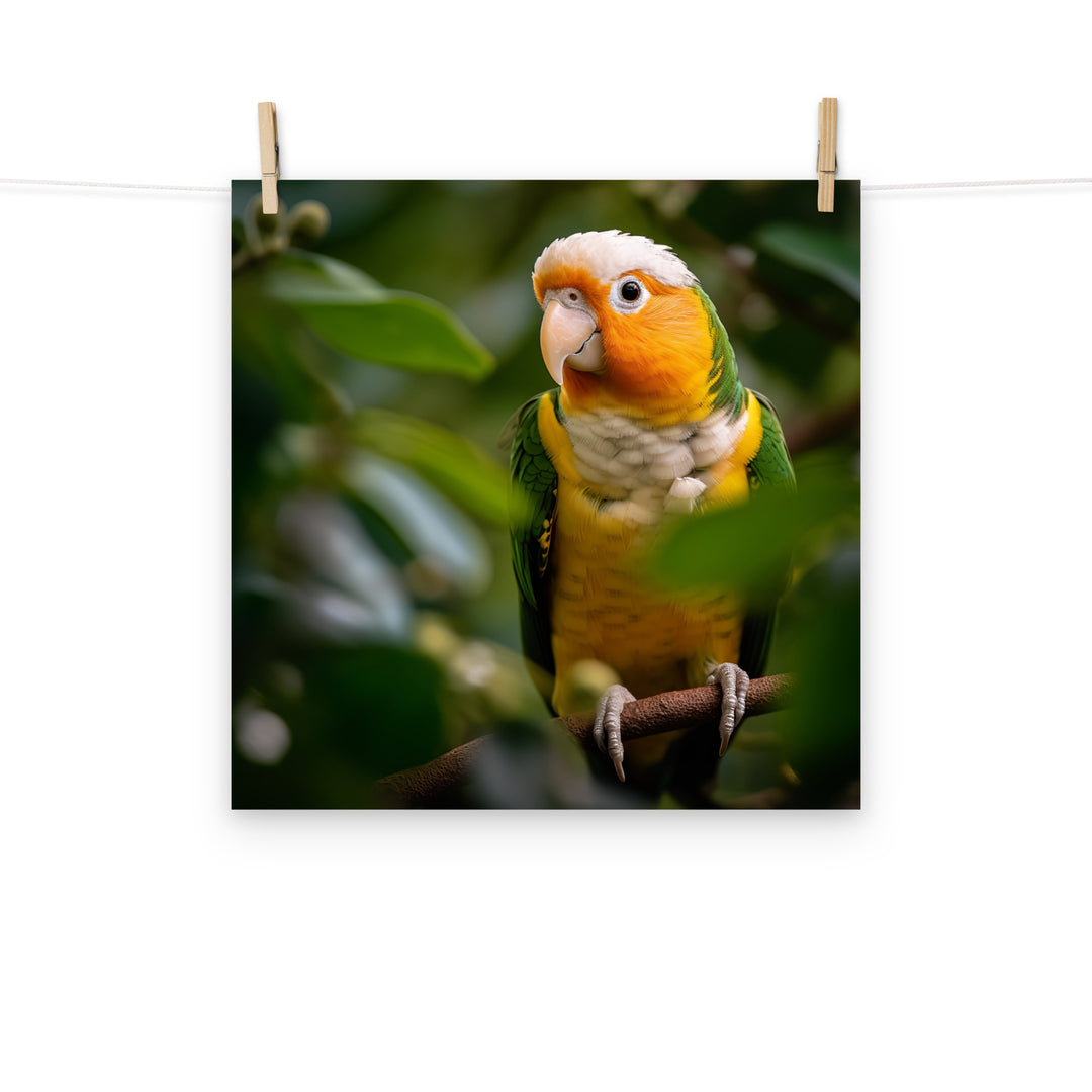 Caique Photo paper poster - PosterfyAI.com