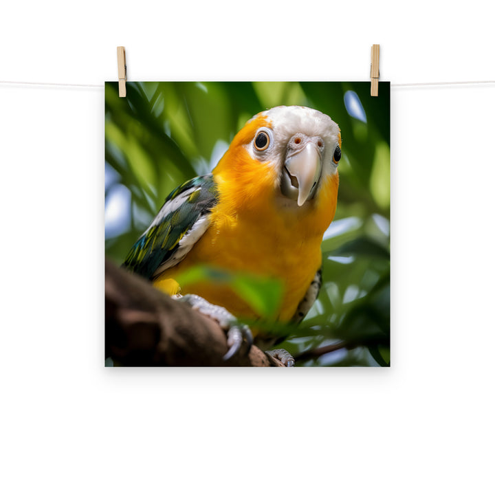 Caique Photo paper poster - PosterfyAI.com
