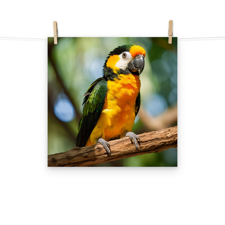 Caique Photo paper poster - PosterfyAI.com