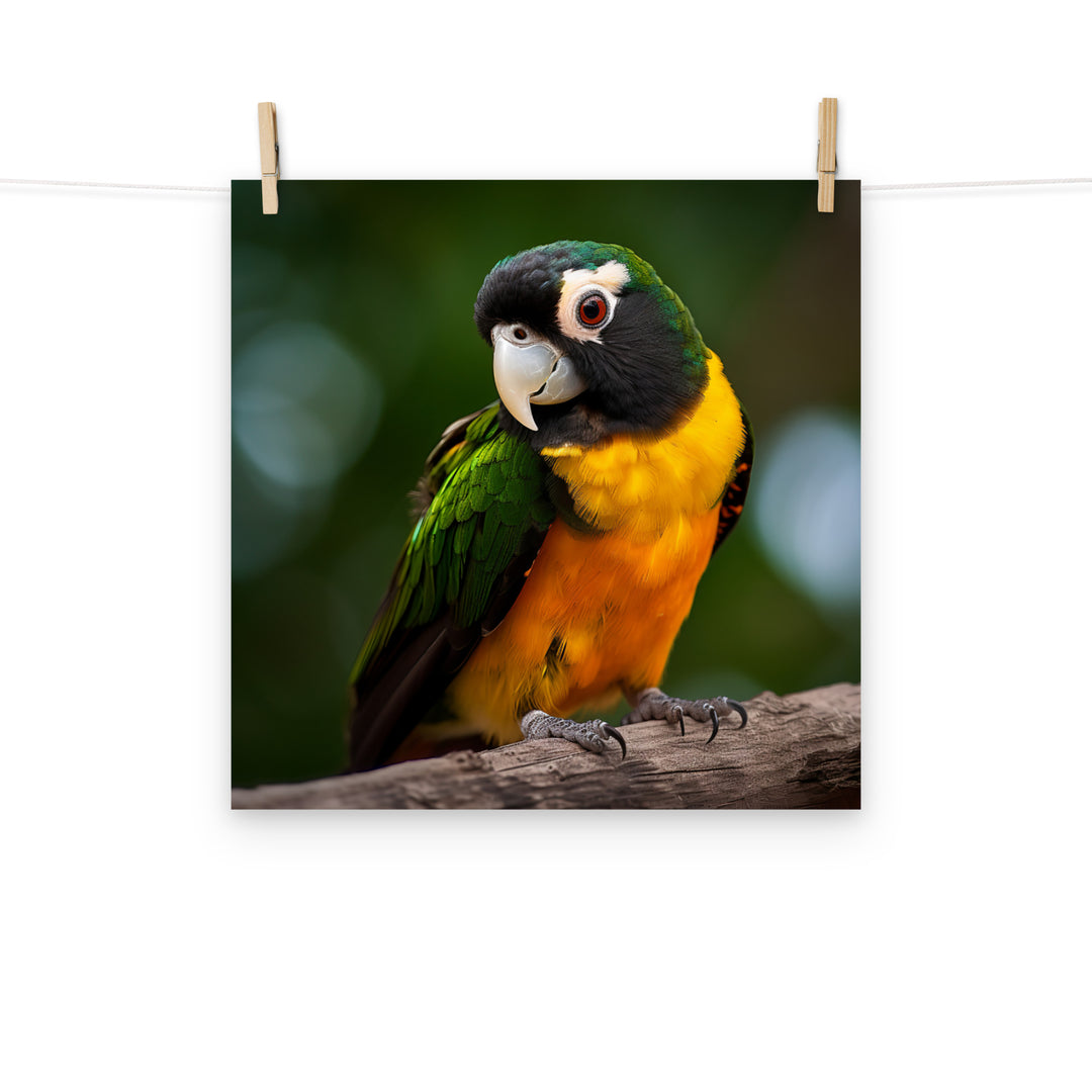 Caique Photo paper poster - PosterfyAI.com