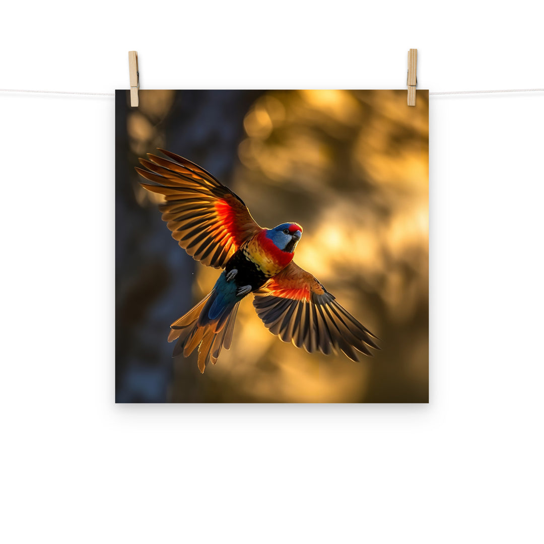 Rosella Photo paper poster - PosterfyAI.com