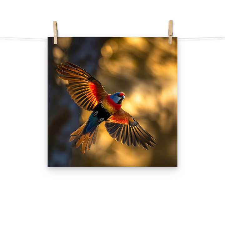 Rosella Photo paper poster - PosterfyAI.com