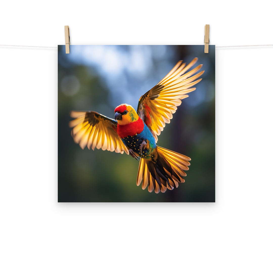 Rosella Photo paper poster - PosterfyAI.com