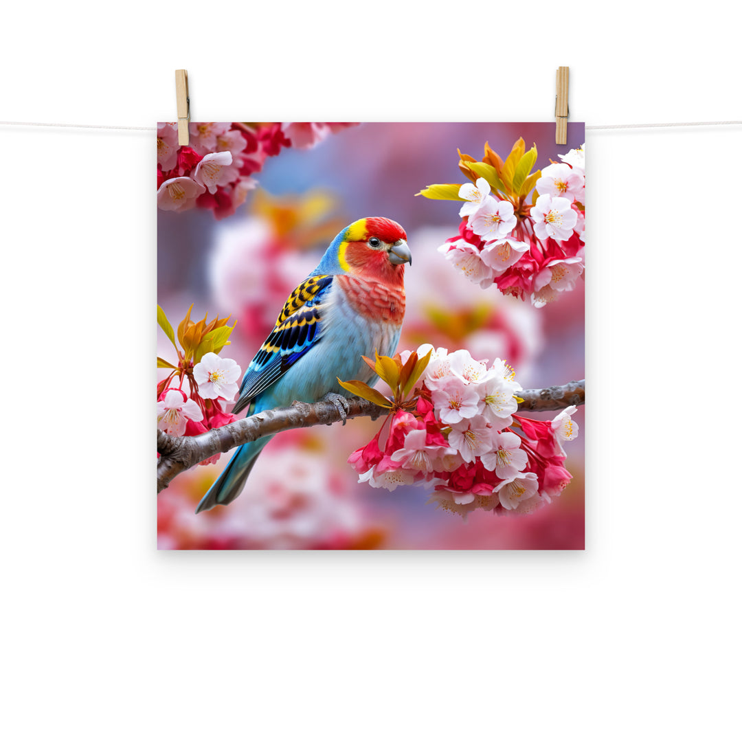 Rosella Photo paper poster - PosterfyAI.com