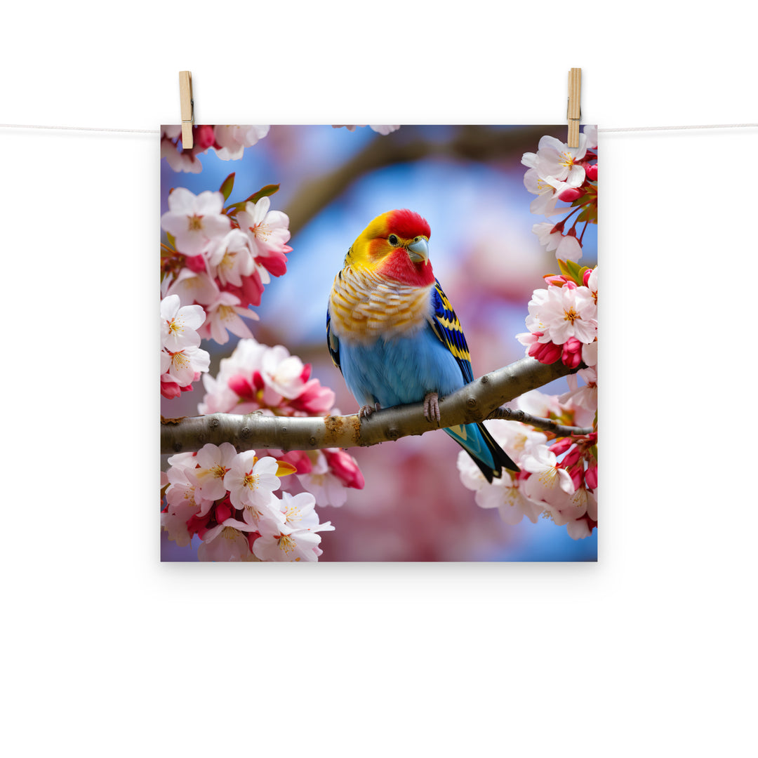 Rosella Photo paper poster - PosterfyAI.com