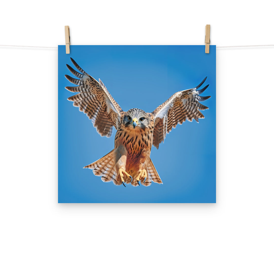 Falcon Photo paper poster - PosterfyAI.com