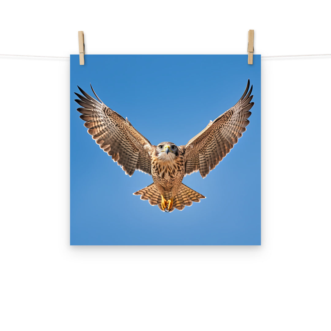 Falcon Photo paper poster - PosterfyAI.com