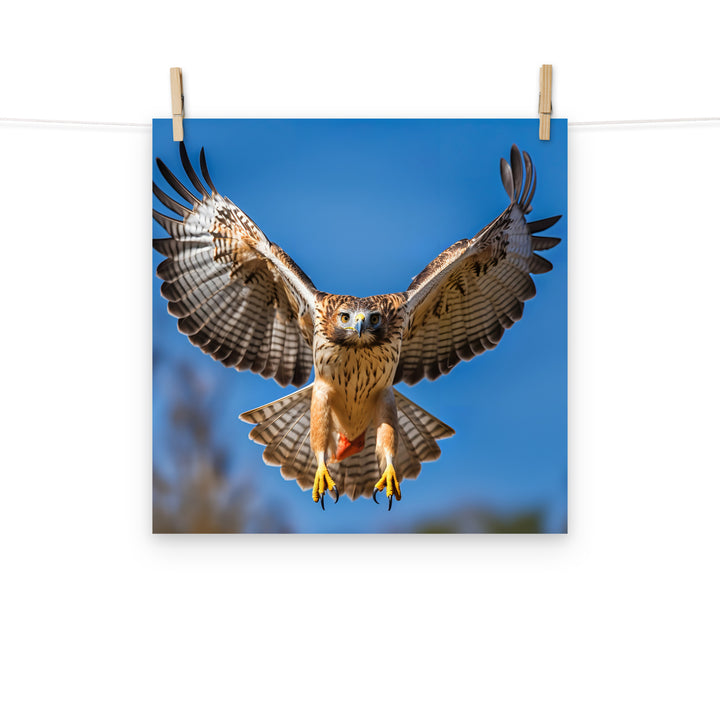 Hawk Photo paper poster - PosterfyAI.com