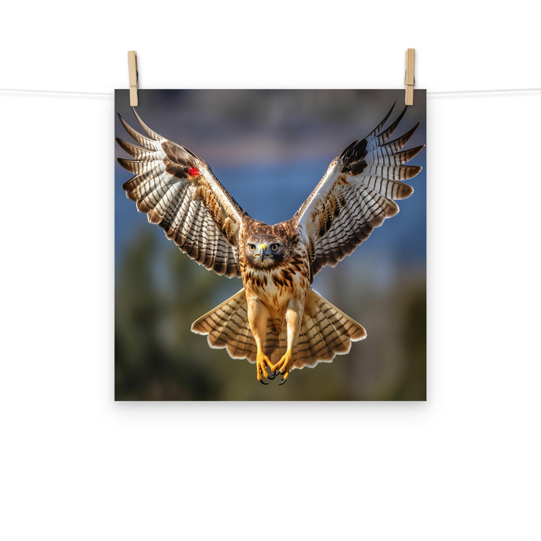 Hawk Photo paper poster - PosterfyAI.com