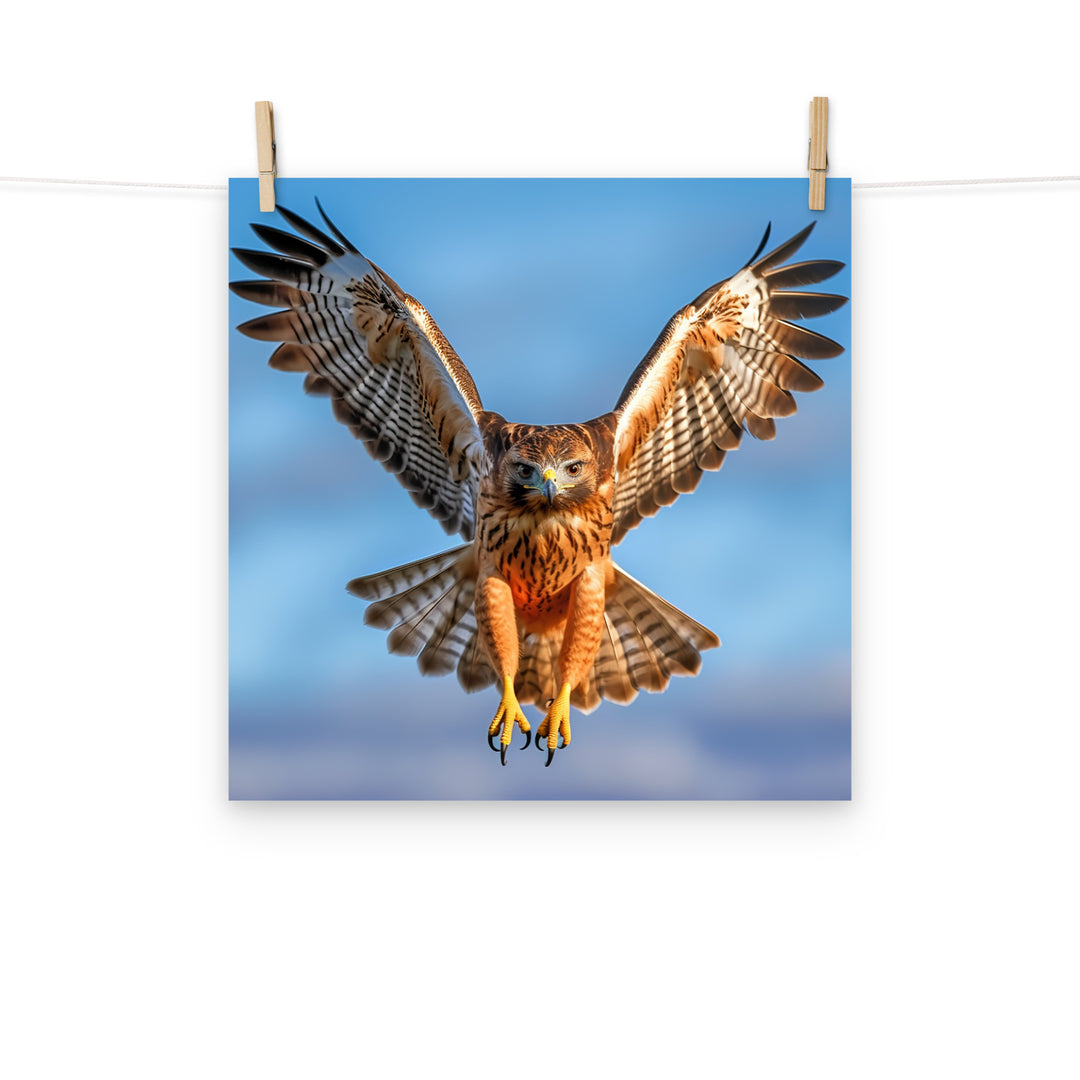 Hawk Photo paper poster - PosterfyAI.com