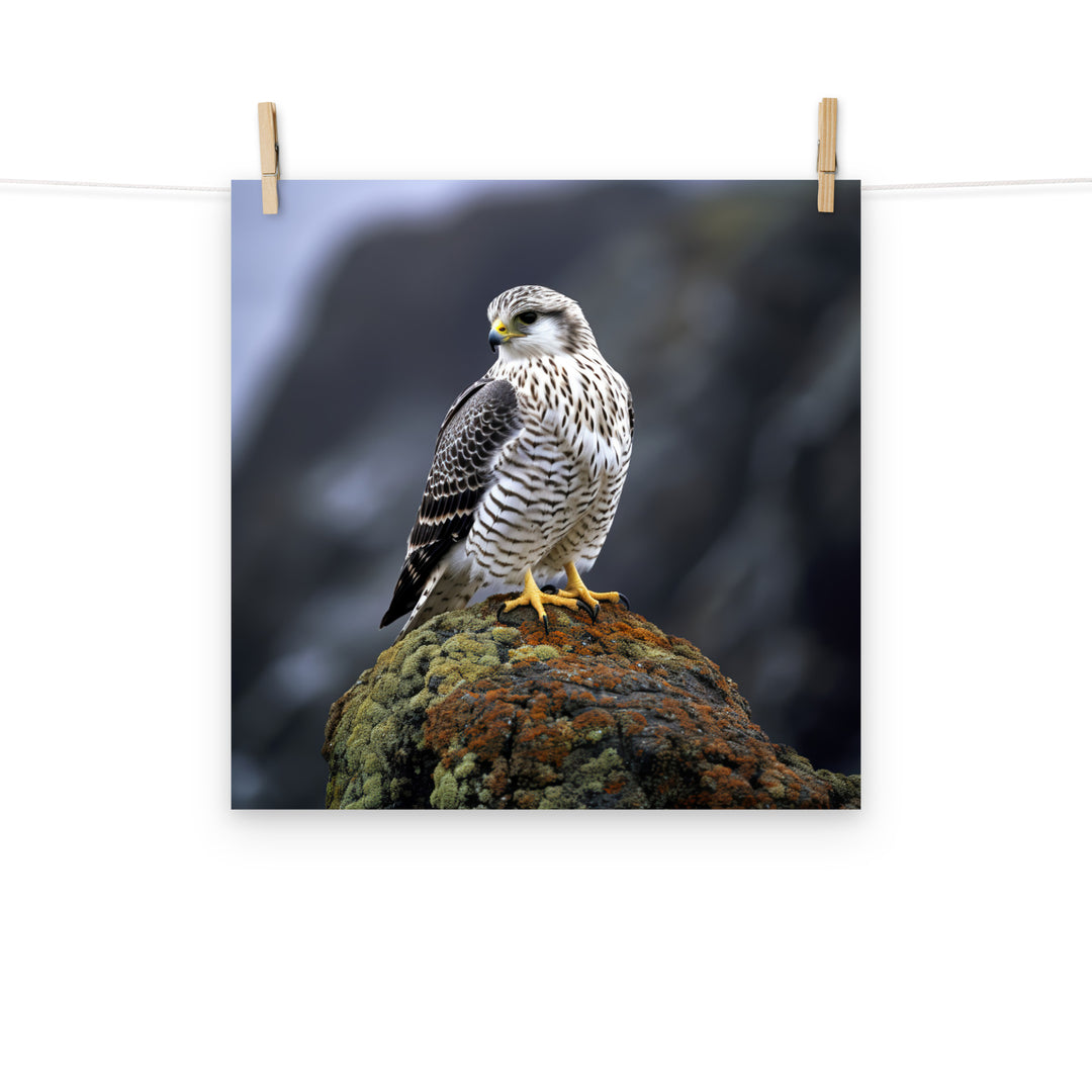 Gyrfalcon Photo paper poster - PosterfyAI.com