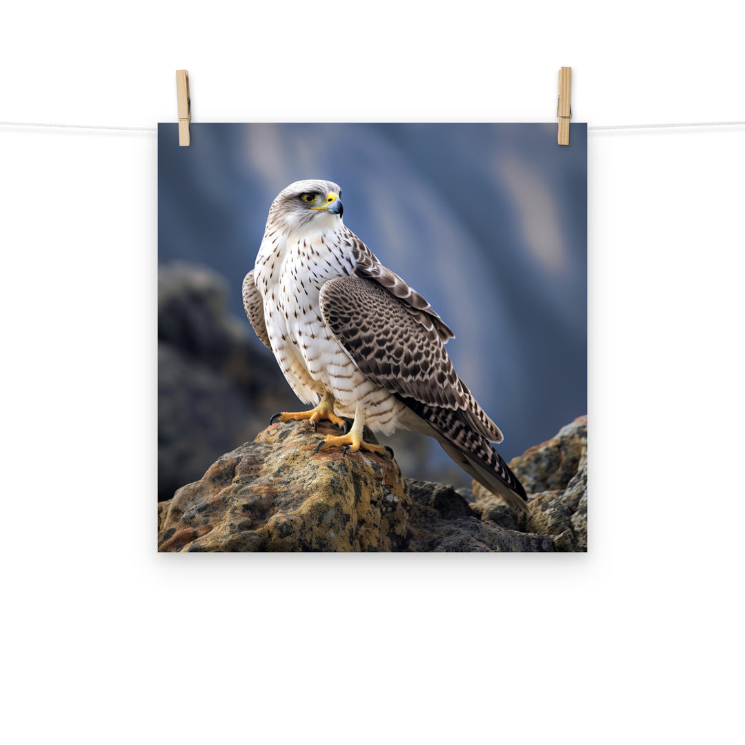 Gyrfalcon Photo paper poster - PosterfyAI.com
