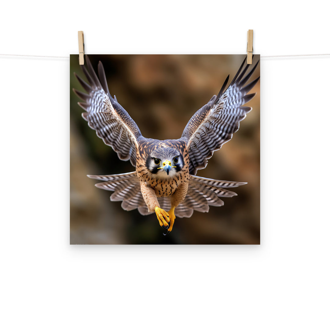 Falcon Photo paper poster - PosterfyAI.com