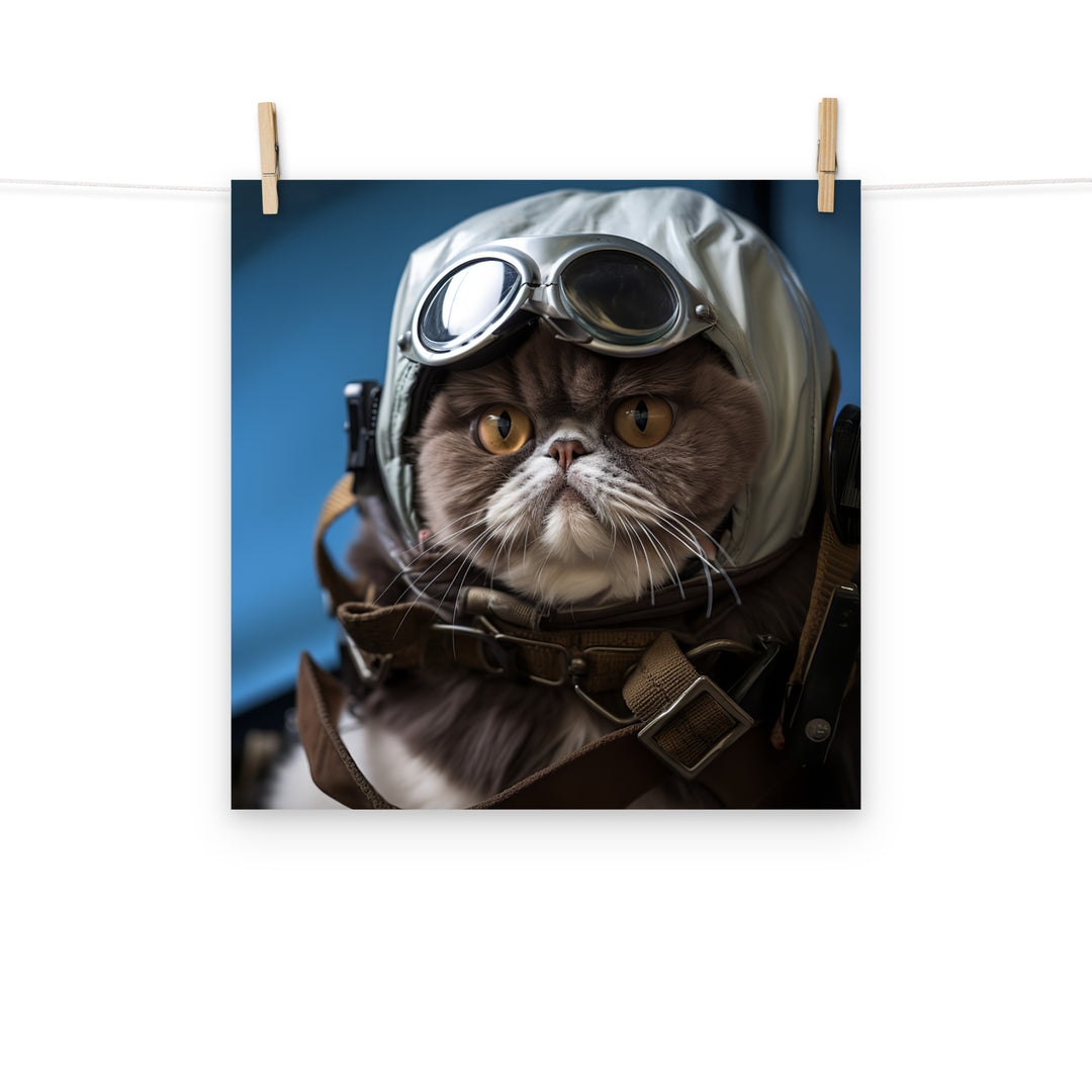 Exotic Shorthair Pilot Photo paper poster - PosterfyAI.com