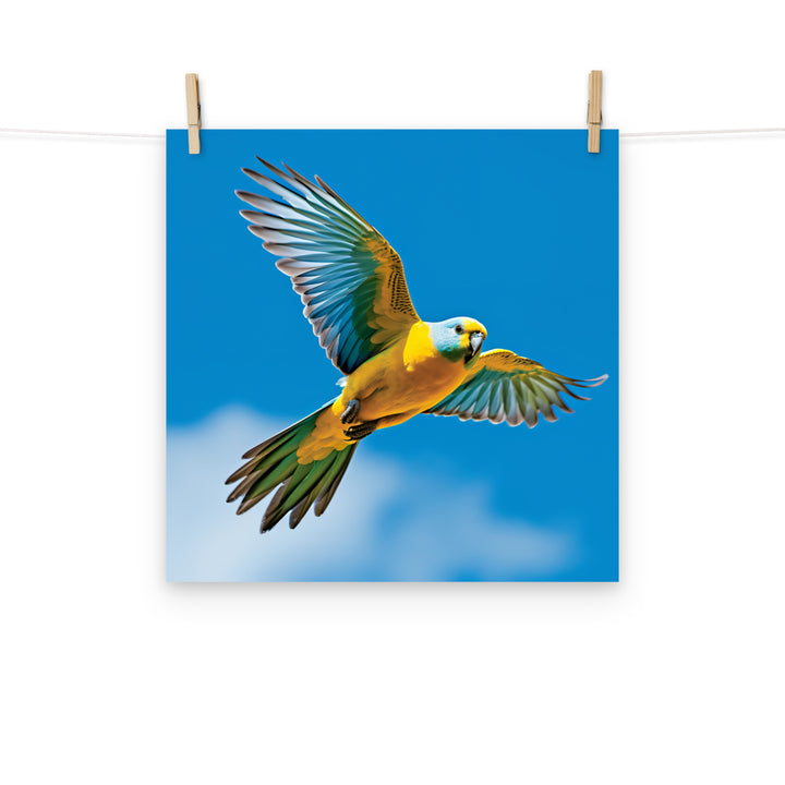 Parakeet Photo paper poster - PosterfyAI.com