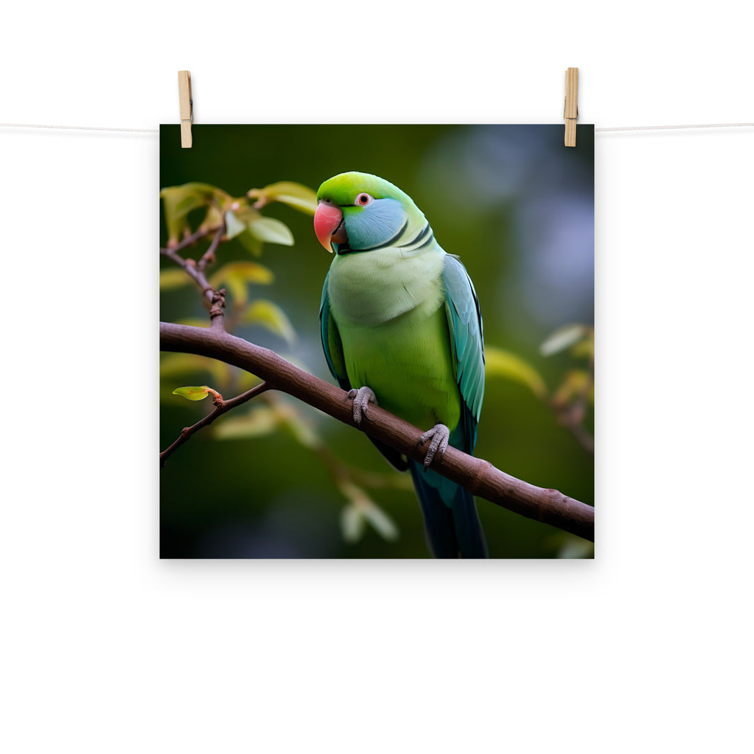 Parakeet Photo paper poster - PosterfyAI.com