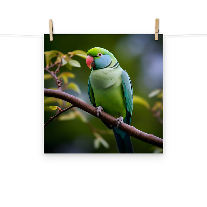 Parakeet Photo paper poster - PosterfyAI.com