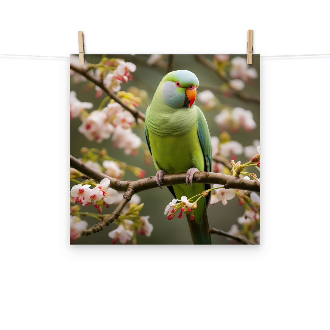 Parakeet Photo paper poster - PosterfyAI.com