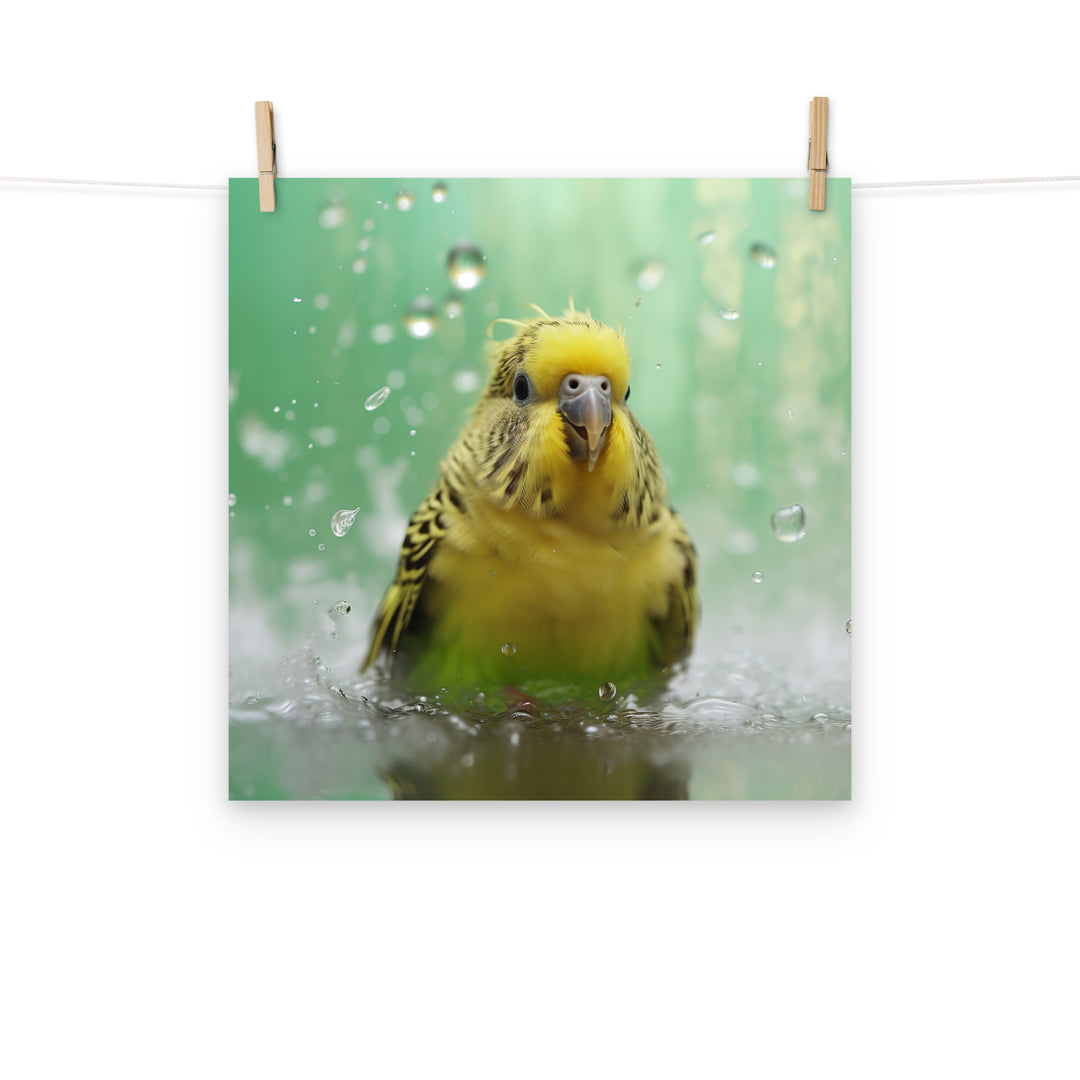 Budgerigar Photo paper poster - PosterfyAI.com