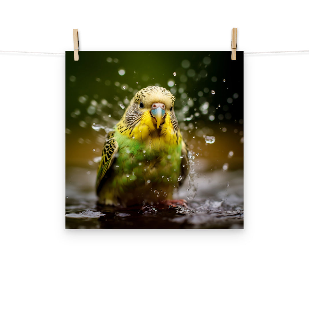 Budgerigar Photo paper poster - PosterfyAI.com