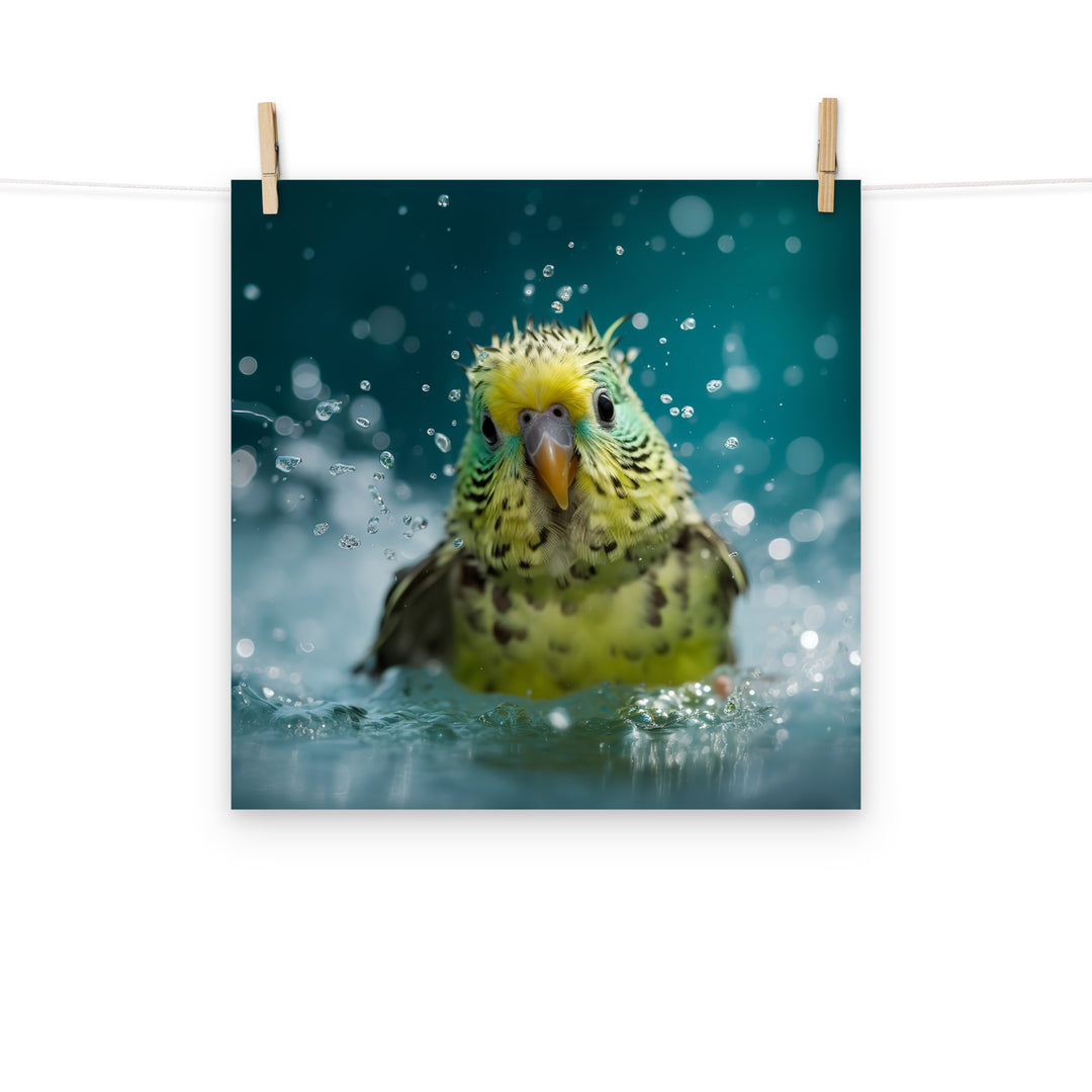 Budgerigar Photo paper poster - PosterfyAI.com