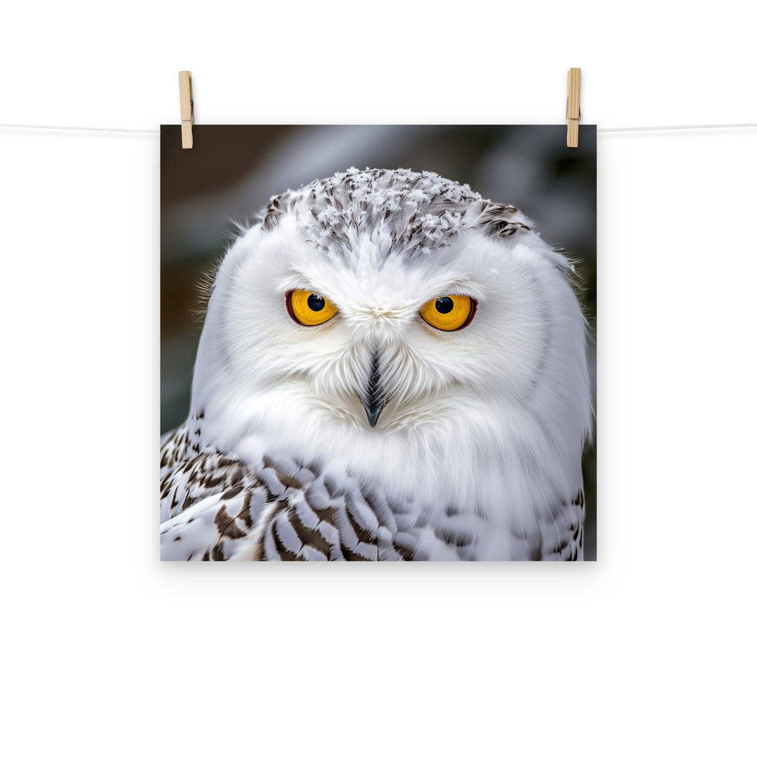 Owl Photo paper poster - PosterfyAI.com
