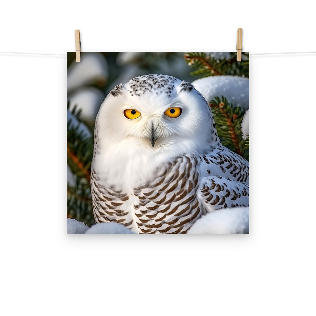 Owl Photo paper poster - PosterfyAI.com