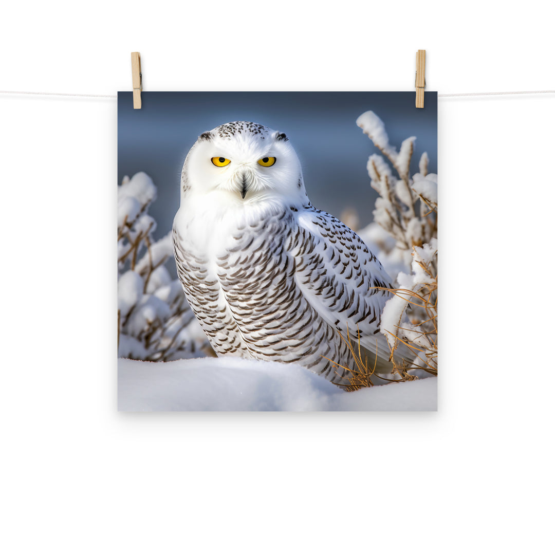 Owl Photo paper poster - PosterfyAI.com