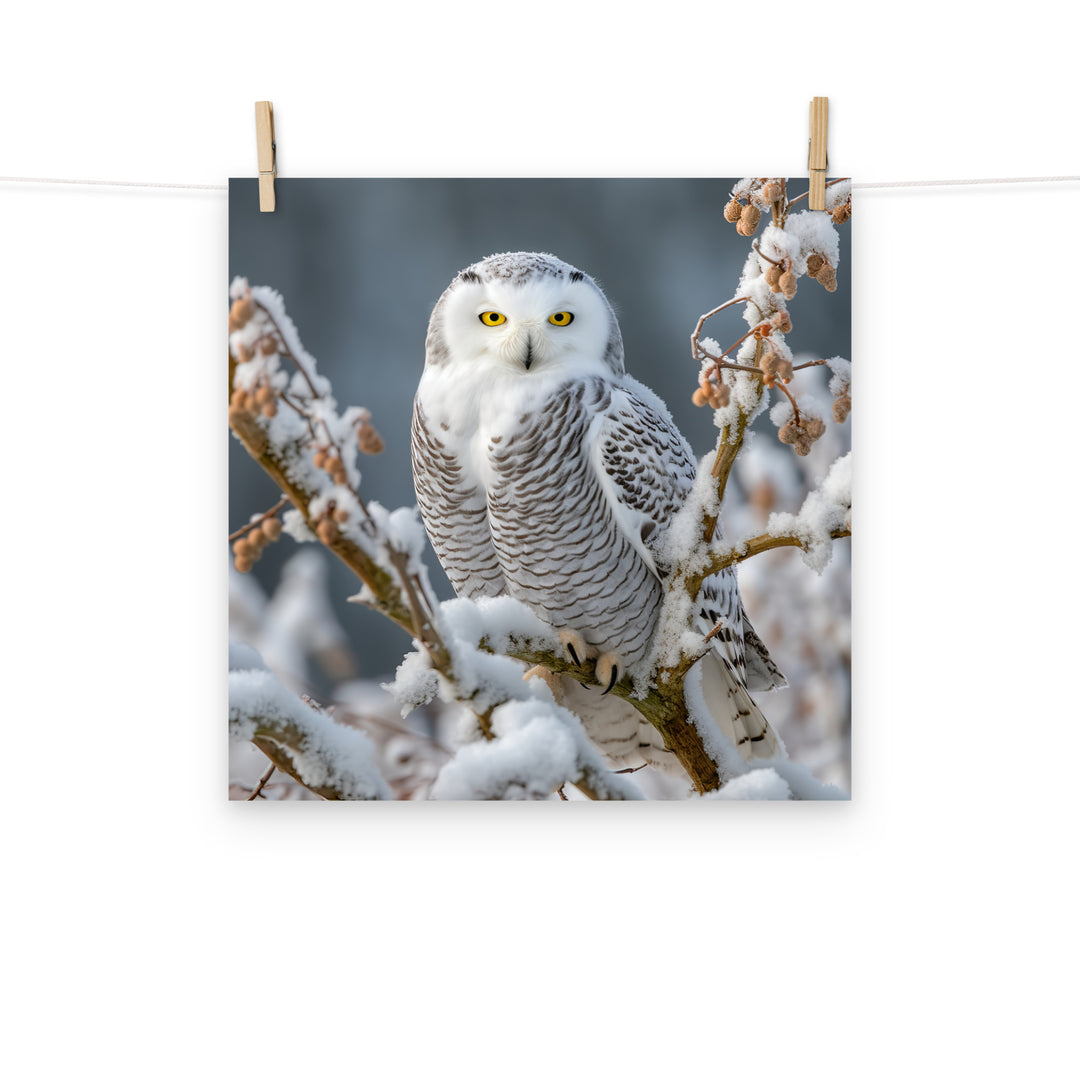 Owl Photo paper poster - PosterfyAI.com