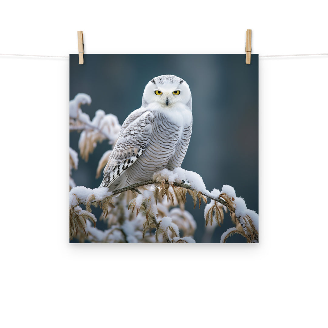 Owl Photo paper poster - PosterfyAI.com