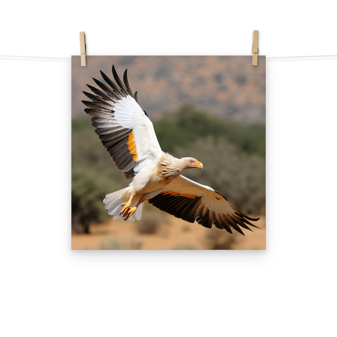 Vulture Photo paper poster - PosterfyAI.com