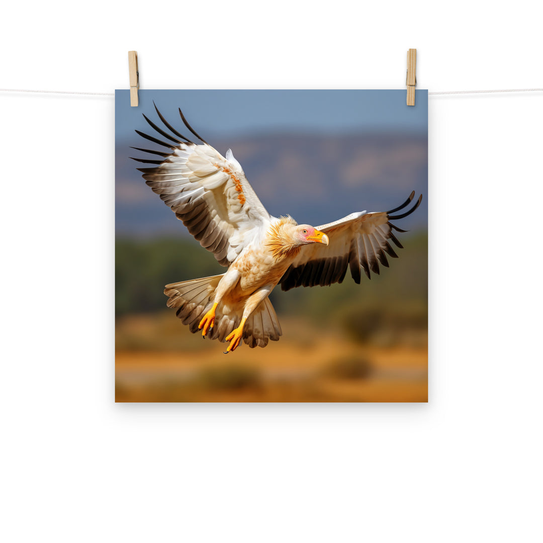 Vulture Photo paper poster - PosterfyAI.com