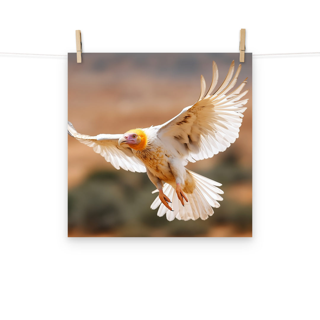 Vulture Photo paper poster - PosterfyAI.com