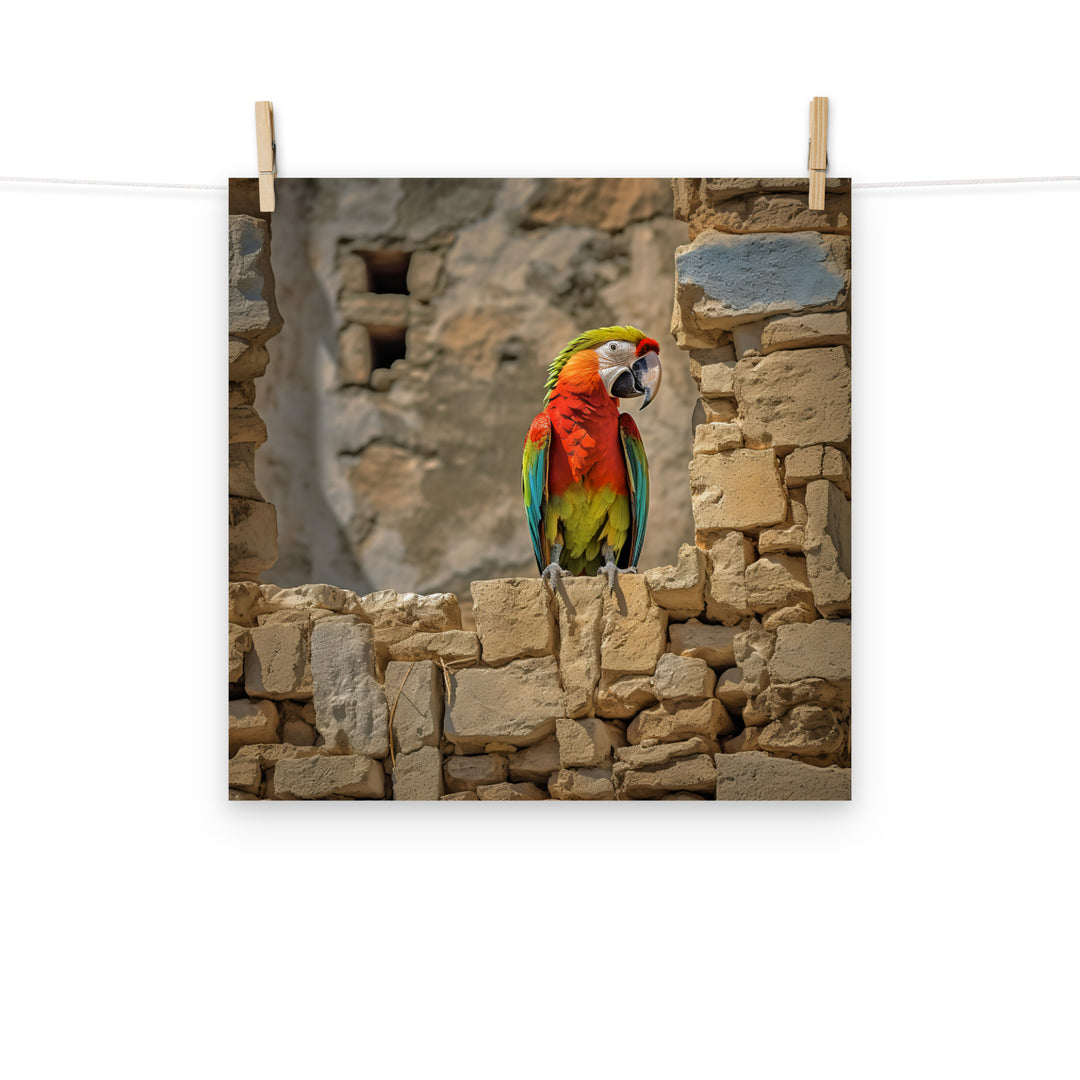 Macaw Photo paper poster - PosterfyAI.com