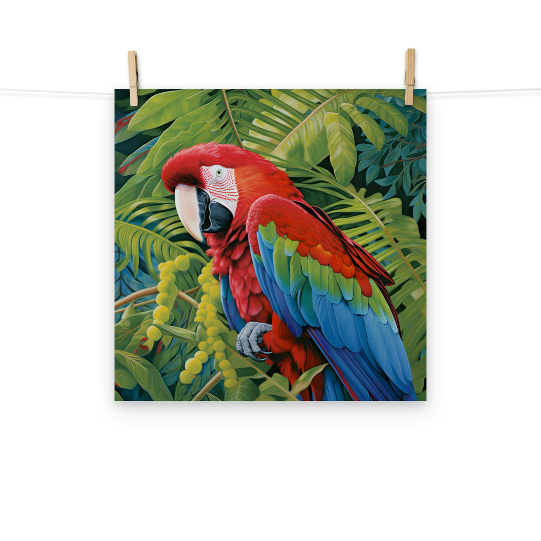 Macaw Photo paper poster - PosterfyAI.com