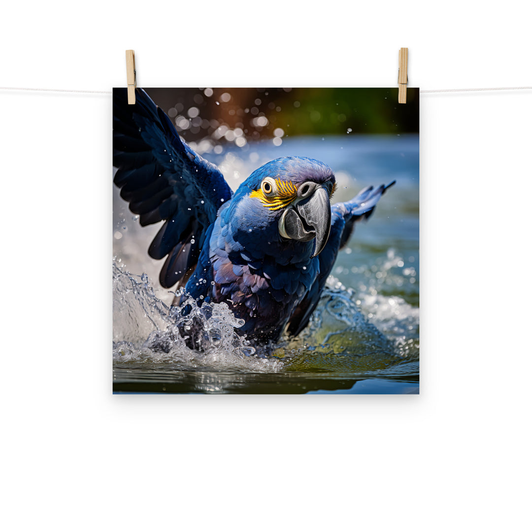 Macaw Photo paper poster - PosterfyAI.com