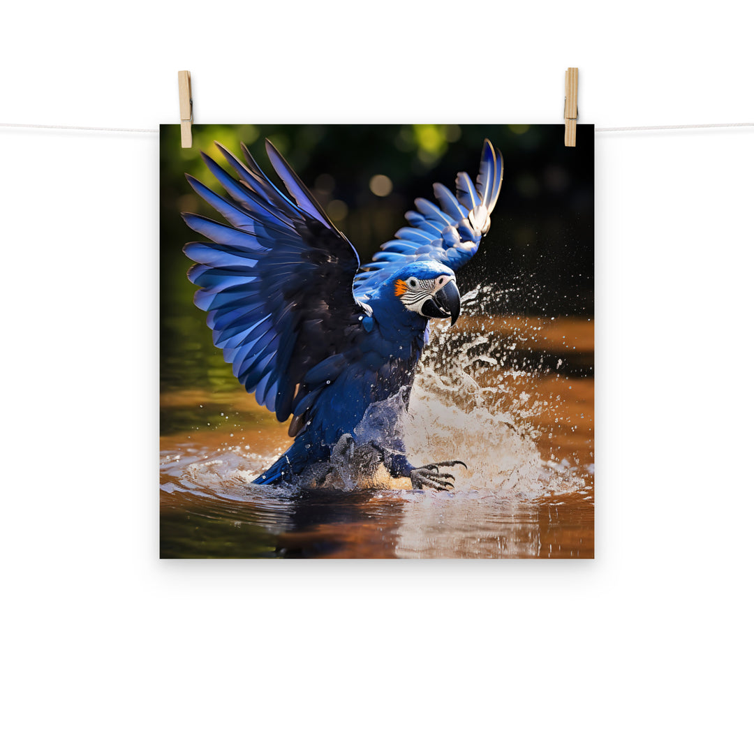 Macaw Photo paper poster - PosterfyAI.com