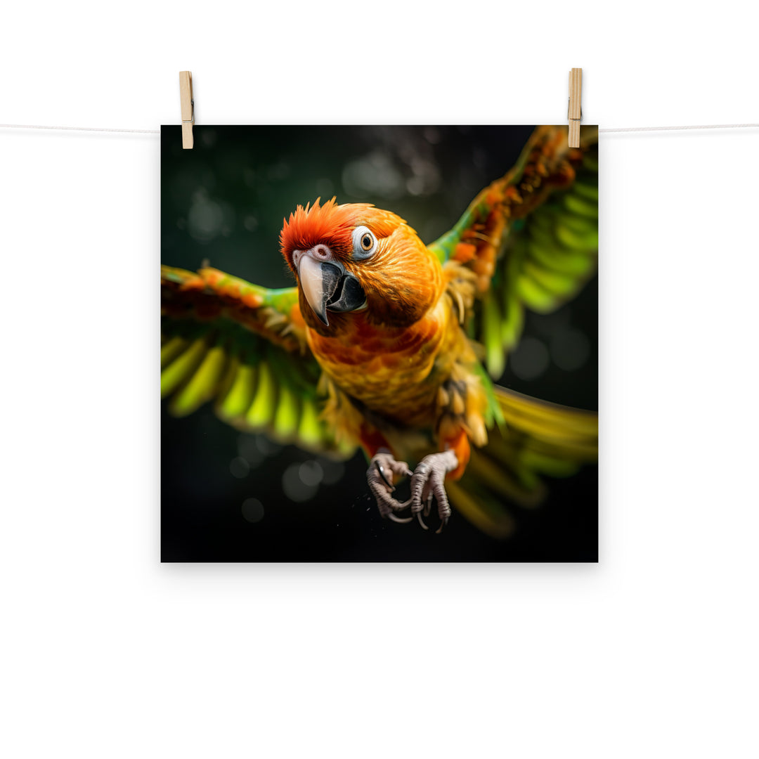 Conures Photo paper poster - PosterfyAI.com