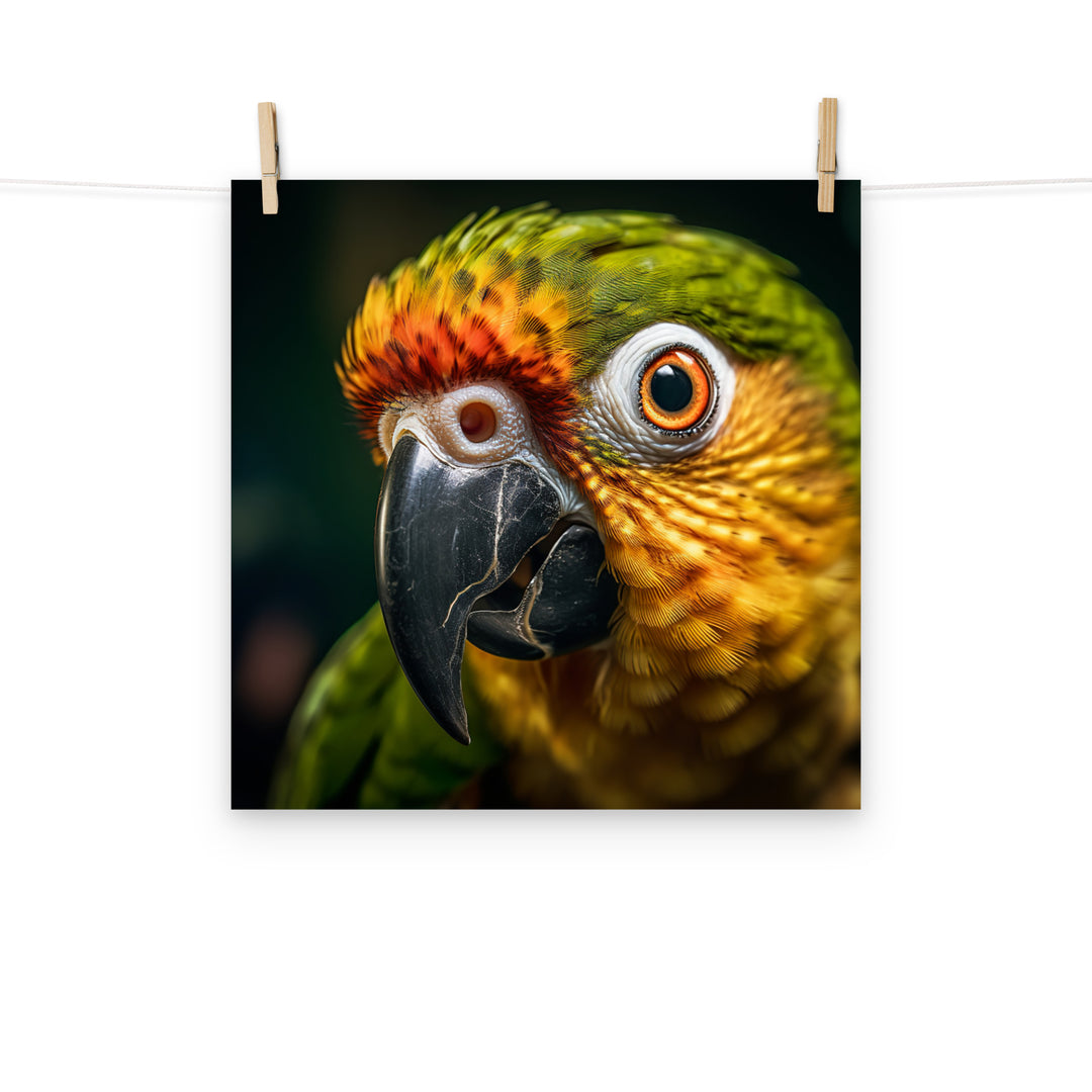 Conures Photo paper poster - PosterfyAI.com