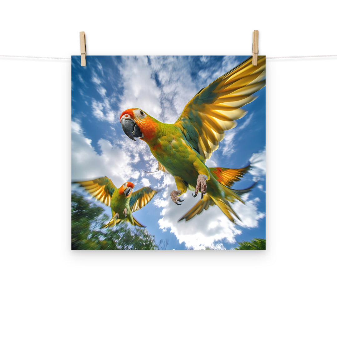 Conures Photo paper poster - PosterfyAI.com