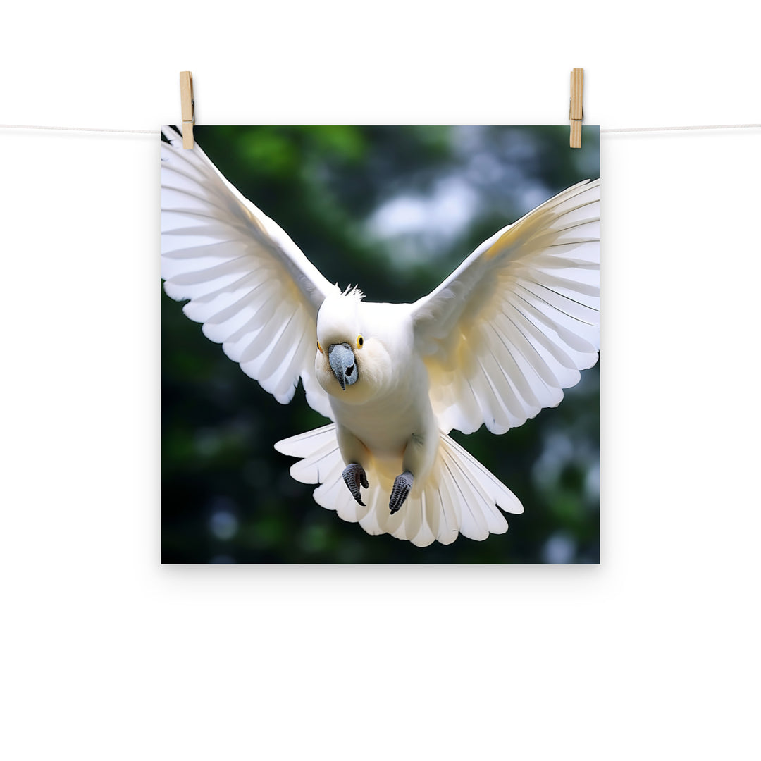 Cockatoo Photo paper poster - PosterfyAI.com