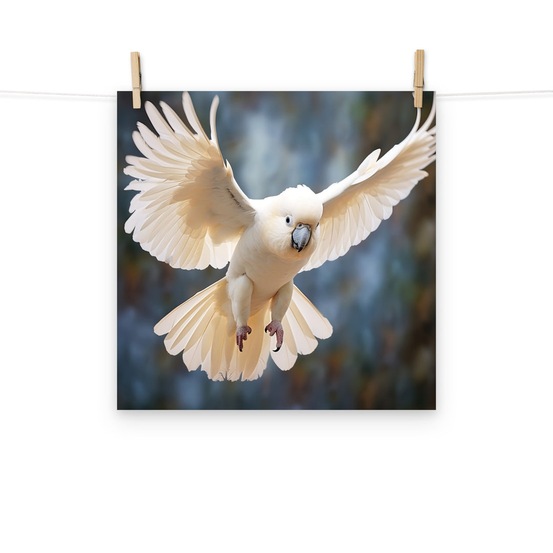 Cockatoo Photo paper poster - PosterfyAI.com
