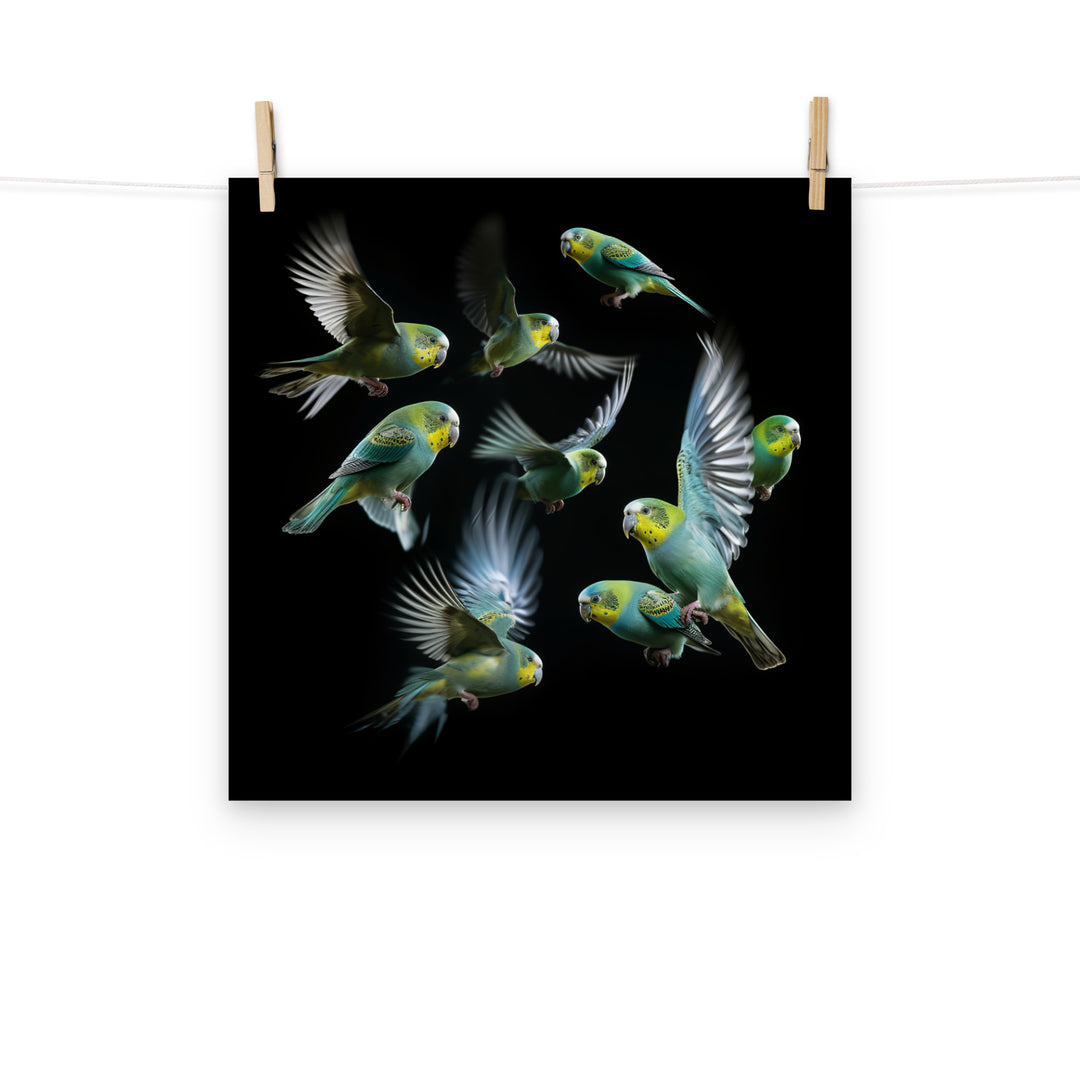 Budgerigar Photo paper poster - PosterfyAI.com