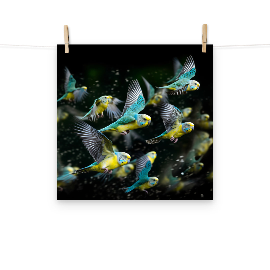 Budgerigar Photo paper poster - PosterfyAI.com