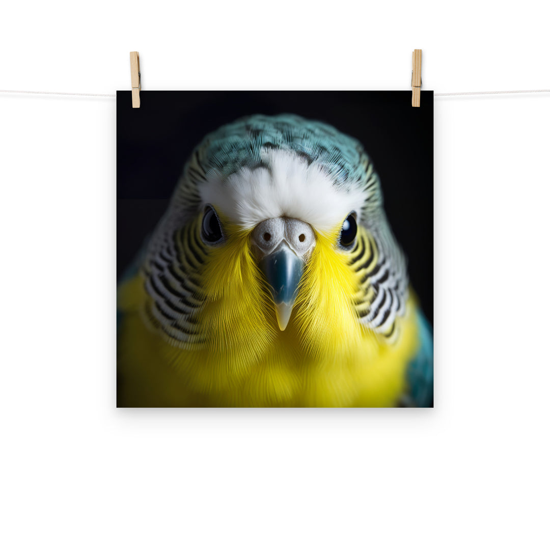 Budgerigar Photo paper poster - PosterfyAI.com